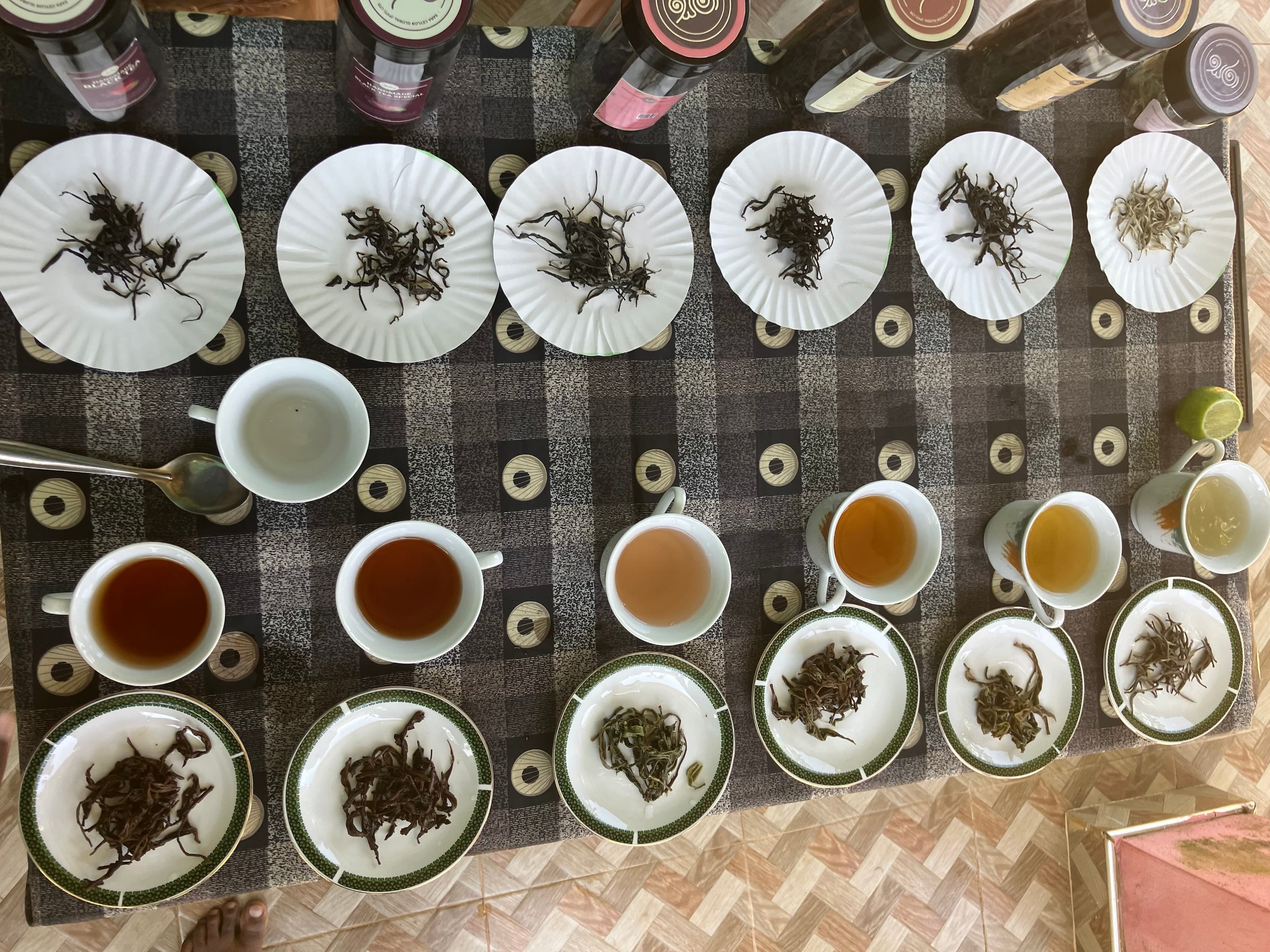 Les différentes couleurs de thés (photo: Sri Lanka)