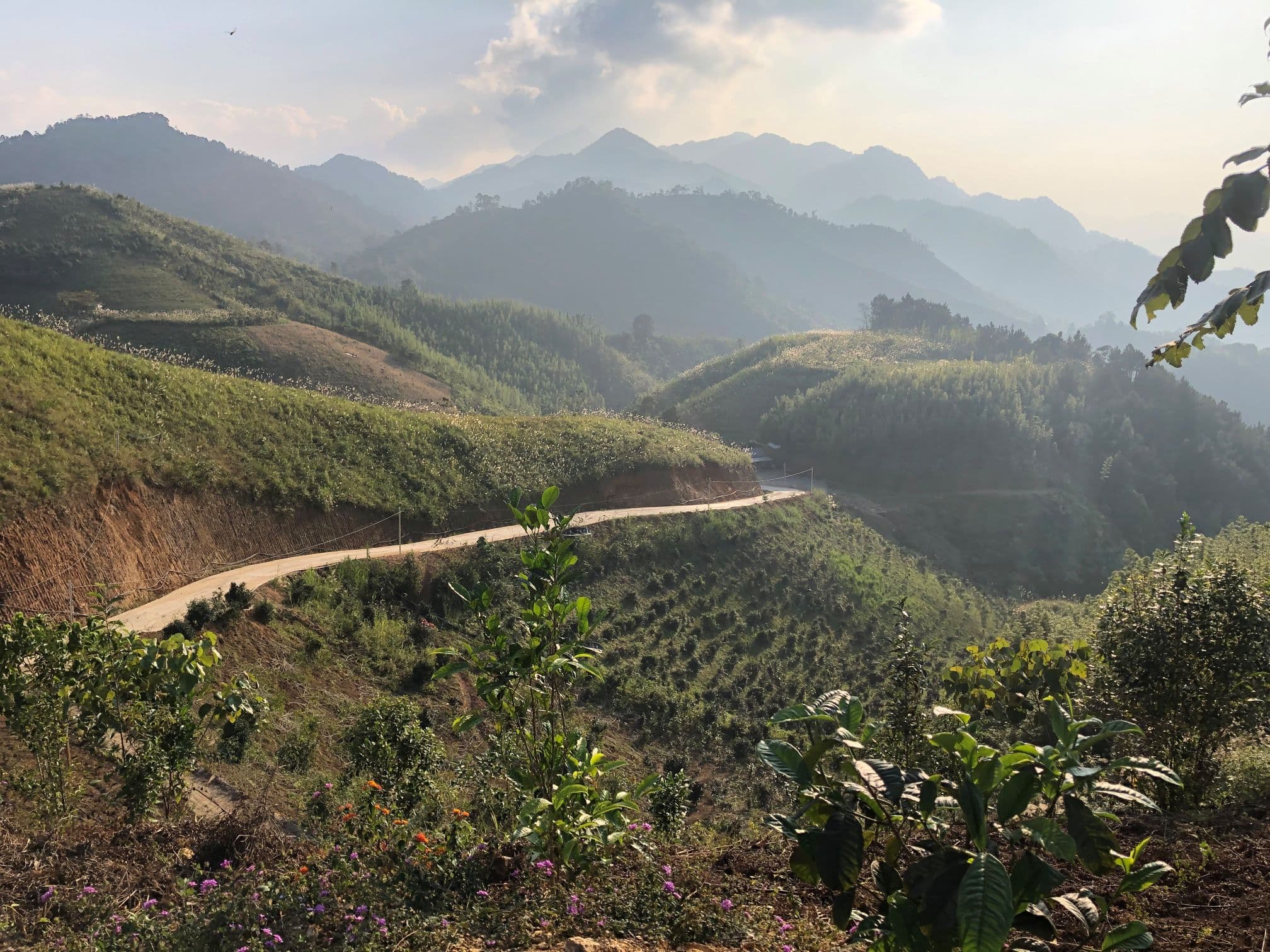 Paysage sur une route du thé / carnetdethe