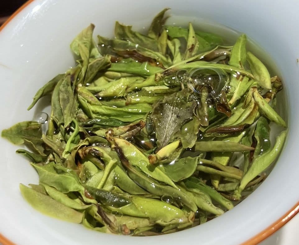Superbe thé blanc de vieux théiers sauvages du Yunnan (Chine) / carnetdethe